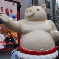 うめたま (@umetamaed) Twitter profile photo