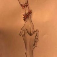 elham amr (@elhahamr12) 's Twitter Profile