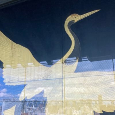 美少女マスク欲しいけど何処で買うのが良いのか分からない、AliExpressで売ってるマスク良いけど中国語分からん