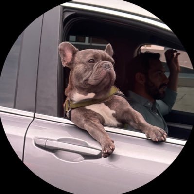 The_KingKarl's profile picture. I tend towards a competitive nature.