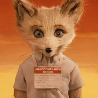 FalgustDev's profile picture. Brazilian game designer/silly little guy • TTRPG lover • Lost in delirium for now