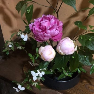 VbTPyZVeD5lXENZ's profile picture. 趣味は保守活動。日本🇯🇵の良いところを残したい。フリーの音楽家をやっています🎺🫶Xの名前をこっこから、本名のこづえに変更しました🙏