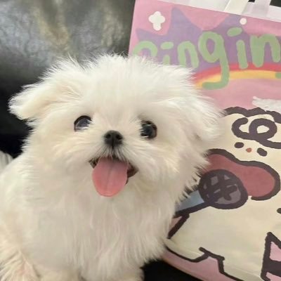 stars08081205's profile picture. Be yourself