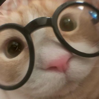 MrrLava's profile picture. its MellowLava
the mellowmushroom/mellowlore/exoloreishere/exolore/thedodecahexa/larlop1987/fazbeargaming aliases
EXO-L in the SHINee World