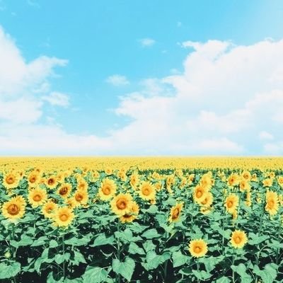 kumami_2024's profile picture. 懸賞はじめました😊
#相互フォロー　お願いします🙏
#フォロバ100