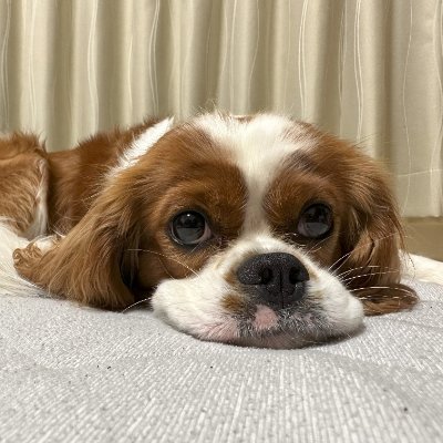 _navitimer's profile picture. 