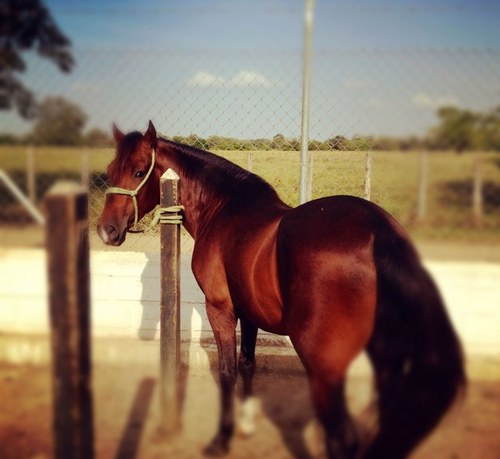 joan_jiver's profile picture. Ing. Mecánico Universidad EAFIT.