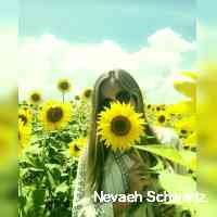 Nevaeh Schwartz (@schwatznevaeh) 's Twitter Profile