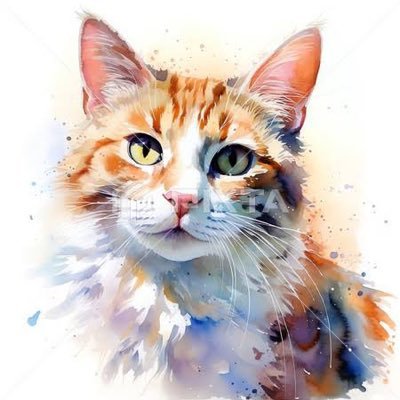 rysk_0824's profile picture. 名前も国もない生まれたての元気