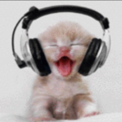 Joeymoscaa's profile picture. Media