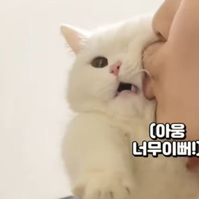 iamSeungpyo