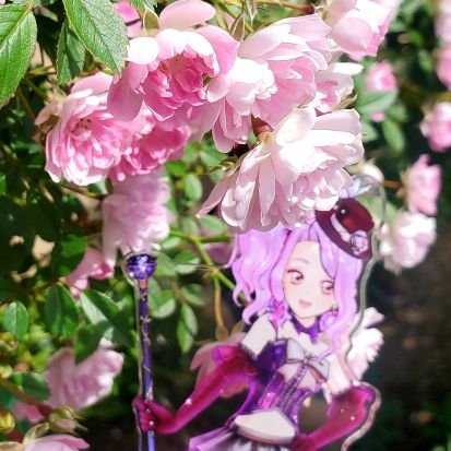 みやもりさんのプロフィール画像