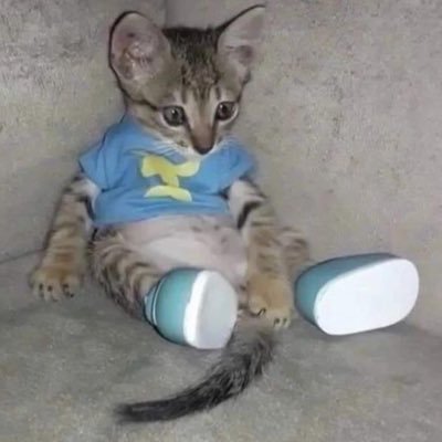 mardontwannadie's profile picture. 