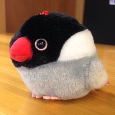ときわさんのプロフィール画像