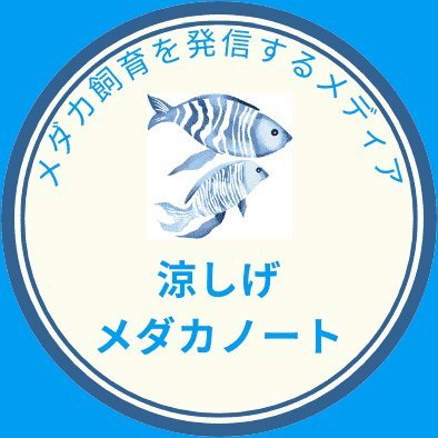 茨城県水戸市を拠点にメダカ飼育、生き物観察に関するブログを運営しています。2013年から自室でメダカ飼育、2015年からメダカビオトープを続けています。
ふと見かけた昆虫などメダカ以外のポストもたまにします