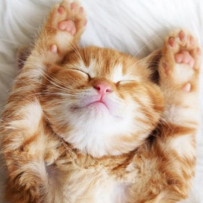 mathchamp188's profile picture. 