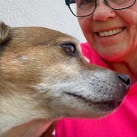 ElfiW (@knoeteri) Twitter profile photo