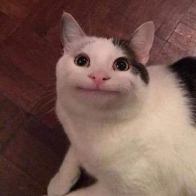 PCatCTO's profile picture. https://t.co/DTMasSX5Ma