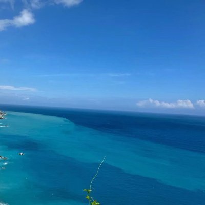 yunnanyidong's profile picture. 