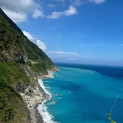 lechaoktv's profile picture. 