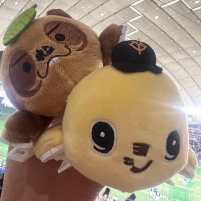 MarumWjf's profile picture. ⚠️お取引が決定してからのキャンセルはお控え下さい🈲⚠️ 最後までお取引が出来ない方、お約束をお守り頂けない方は、ご遠慮下さい💣🐰GIANTS #79 #00 #31 🐮ORIX #21 #65