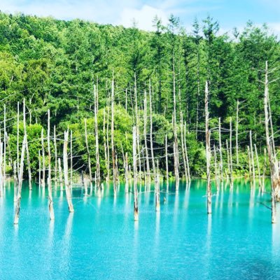 20170806Anko's profile picture. Number_i🩵❤️💜応援しています。23.7.7FC iLYs神宮寺沼住🩵平和🕊️😊23.7.2三宅健FC アラフィフ一人旅とドライブが好き。無言フォロー失礼します🙇‍♀️Number_iのファンの方随時お友達募集中🕊️中傷や批判が多い方🙅‍♀️ヘッダーはおーりちゃん❤️