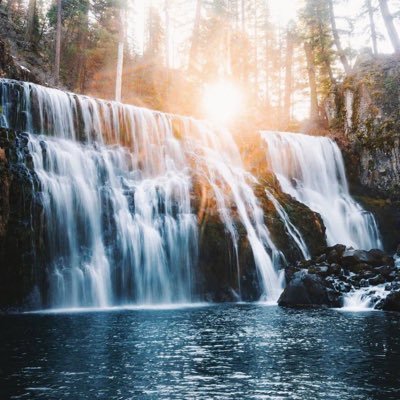 qiaoxiaofei0214's profile picture. Believe in value investing（不懂投资）（非高材生）（不投资）（见识浅薄）金融皮条客 （私募合伙人）国内信托私募（海外信托皮条客）