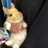 nana's daughter🐰 (rest) (@_jaeminisgod) 's Twitter Profile