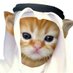 Habibi (حبيبي) (@habibixyz_sol) Twitter profile photo