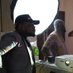 pigfarmer_naija (@victoreyo66) Twitter profile photo pigfarmer_naija (@victoreyo66) Twitter profile photo