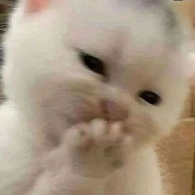 DDlioky's profile picture. 