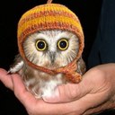 Morgan Thibodeaux - @morganthib17 - Twitter