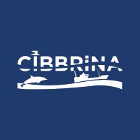 CIBBRiNA (@cibbrina) 's Twitter Profile