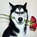 holidays (@holidays4369831) Twitter profile photo holidays (@holidays4369831) Twitter profile photo