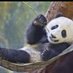 Pandadoux 🐼🌴🌿🐨 (@pandadoux) Twitter profile photo Pandadoux 🐼🌴🌿🐨 (@pandadoux) Twitter profile photo