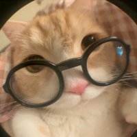 ᴘᴀᴅᴏ (@pado792) 's Twitter Profile Photo