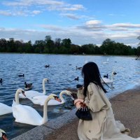Isabella (@ferozz30) 's Twitter Profile
