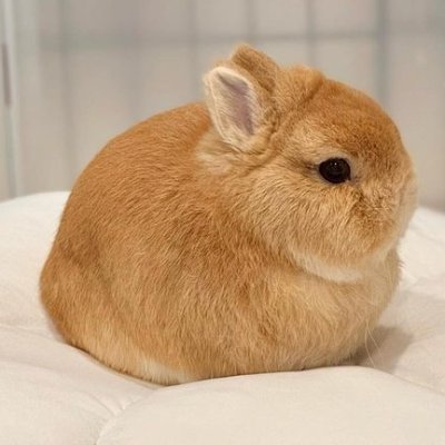 Hadi13203's profile picture. 