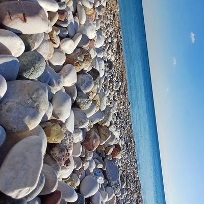 antalya_0709's profile picture. 