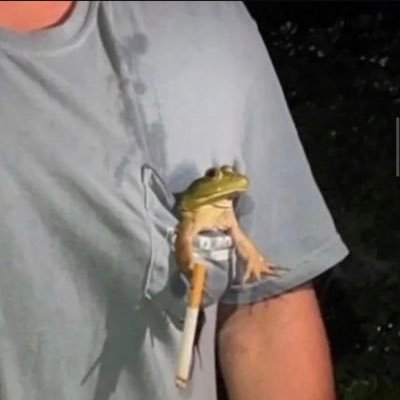 spinky_spiffy's profile picture.
