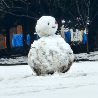 ばけん(こぁくま) (@04_koakuma) 's Twitter Profile Photo