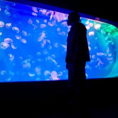 DaKJBoy's profile picture. Recording Artist under @verozikcameroon 🇨🇲  #HYLYExclusive Lp out now