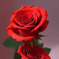عاشق جدة (@ashq_jdt26714) Twitter profile photo