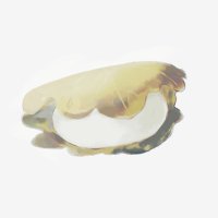 .柏 (@_ksiw) 's Twitter Profile
