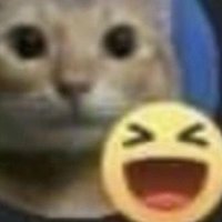 SˉªˉM (@samissamming) 's Twitter Profile Photo SˉªˉM (@samissamming) 's Twitter Profile Photo