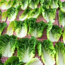 Emma Cable - @emmancable - Twitter