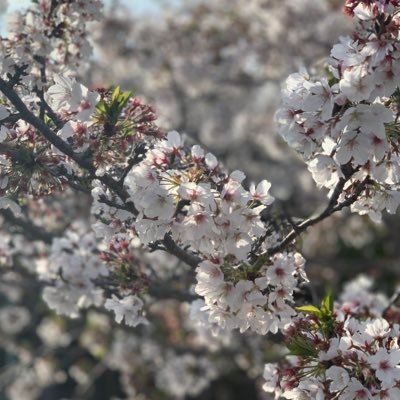 omotioisii7's profile picture. 