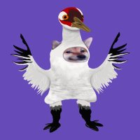 kurgkurg x (@kurgkurgx) 's Twitter Profile