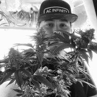 Kippa (@kippagrows) 's Twitter Profile