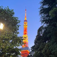 ふきのとう (@hukinote_wtlove) 's Twitter Profile